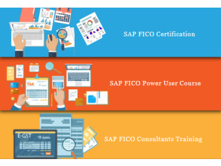 SAP FICO Coaching in Shakarpur, Delhi, SLA SAP Learning Tutorial Learning, SAP Hana Finance, GST Training Certification, 100% Job
