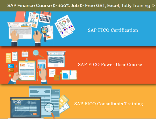 sap-fico-training-in-nirman-vihar-delhi-accounting-tally-free-gst-taxation-certification-100-job-best-salary-offer-big-0