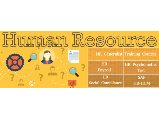 Why SLA Consultants India is the Best Institute for HR Generalist Training Course in Delhi ?