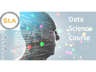 Best Institute for Online Data Science Training Course in Delhi - SLA Consultants India