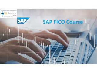 Online SAP FICO Course with 100% Job at SLA Institute, Accounting, Tally & Finance Certification, Best Salary Offer