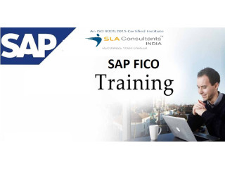 Job Oriented SAP FICO Course in Delhi, SLA Consultants India, Accounting, Tally GST Certification, Summer Offer '23