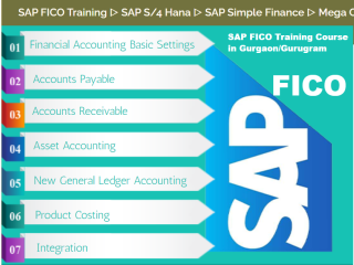 Best SAP FICO Hana Course, Delhi, Best Offer, 100% Job, Free Demo Classes,