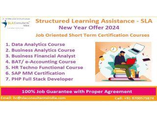 Financial Modeling Courses & Training [100% Placement, Learn New Skill of '24] by SLA Institute, Investment Banking Analyst Certification,
