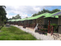 running-resort-available-for-sale-in-lataguri-small-4